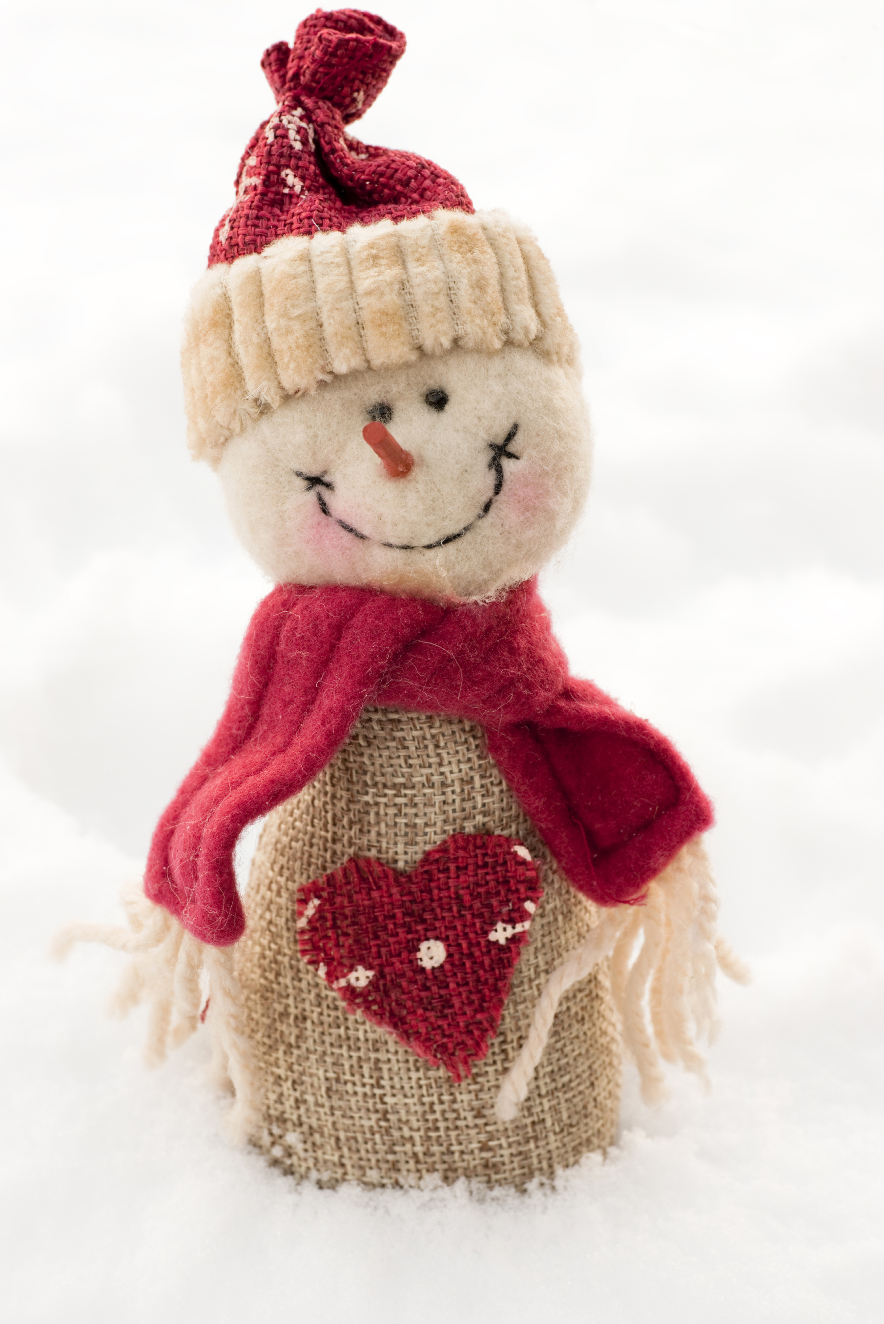 Craft snowman_iStock_000010160020Large snowman
